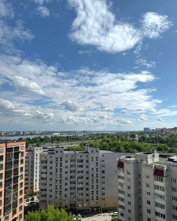 квартира г Воронеж р-н Центральный ул Березовая роща 4а фото 10