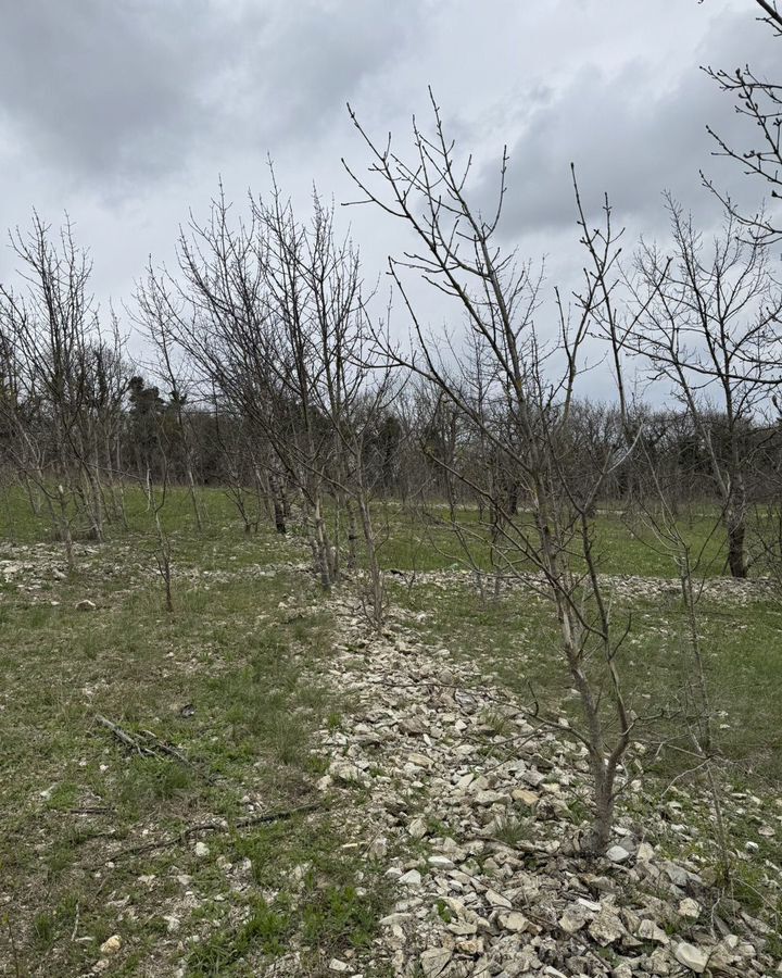 земля г Новороссийск с Владимировка фото 2