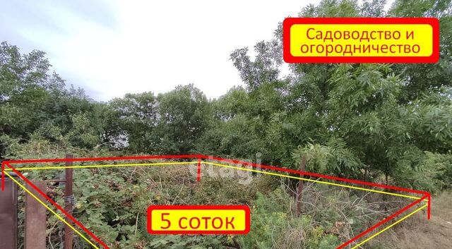 Анапа муниципальный округ фото