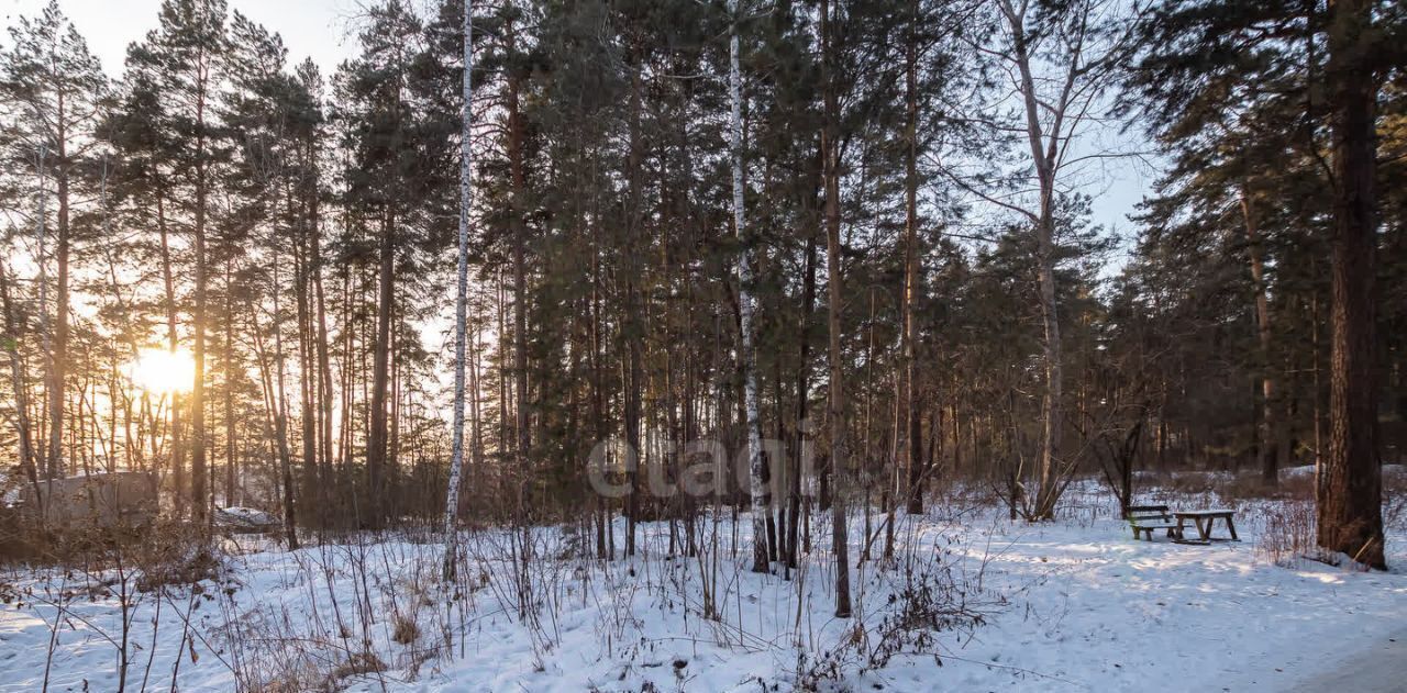 офис г Бердск МК Сибиряк тер. фото 1