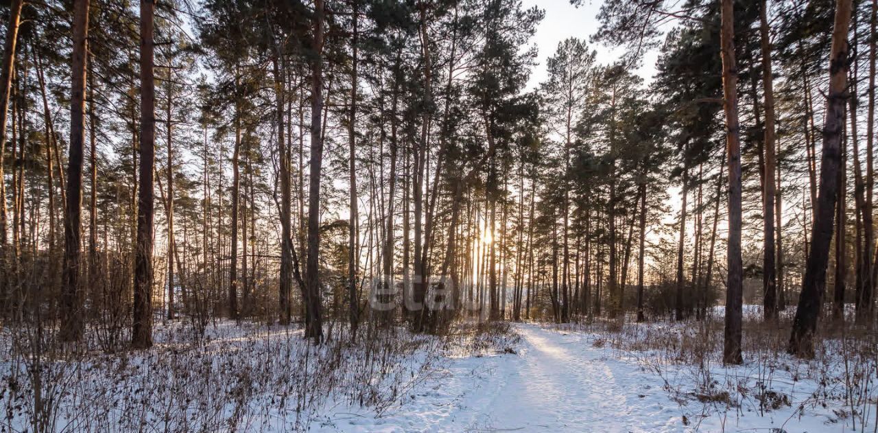 офис г Бердск МК Сибиряк тер. фото 2