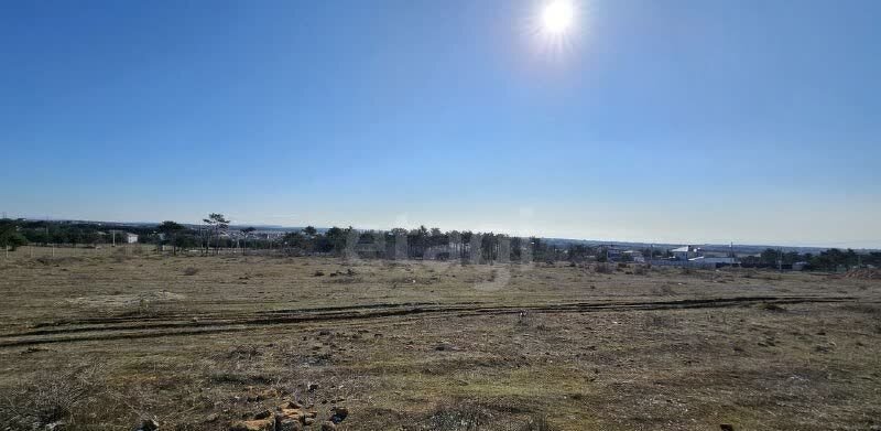 земля г Севастополь садоводческое товарищество Янтарь, Крым фото 3