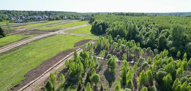 рп Икша 33 км, коттеджный пос. Медведки, Рогачёвское шоссе фото