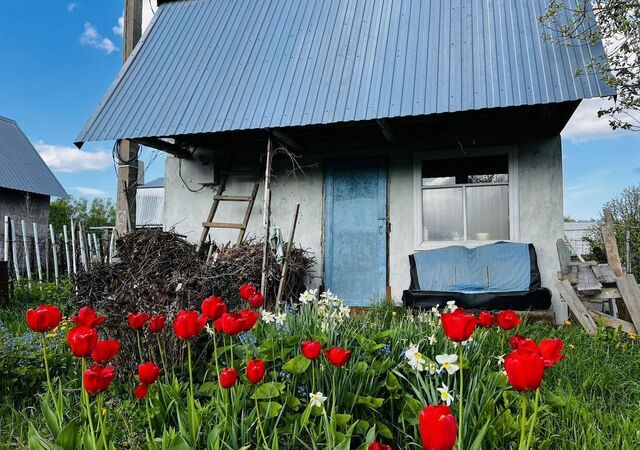 снт Березка Республика Татарстан Татарстан, Осиновское сельское поселение, 88, Осиново фото