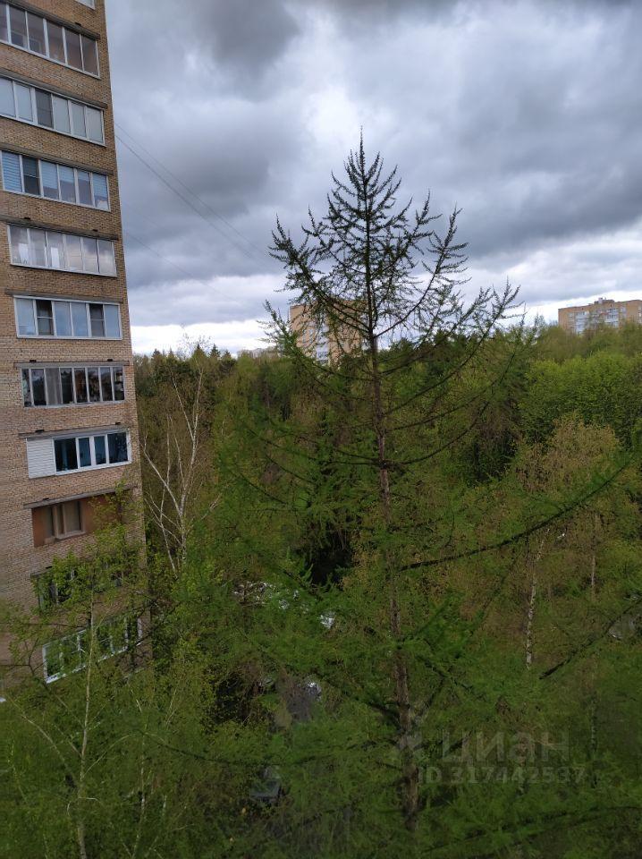 квартира г Зеленоград ЗелАО к 513, Московская область, г Пушкино, Зеленоград фото 4