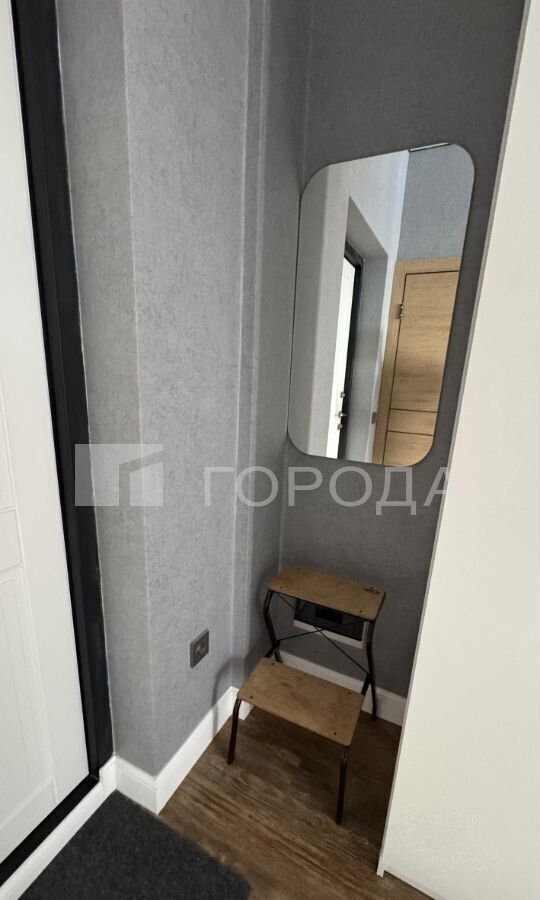 квартира г Новосибирск Заельцовская ул Аэропорт 1/6 фото 3