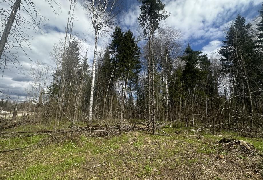 земля г Березники ул Осиновая фото 1