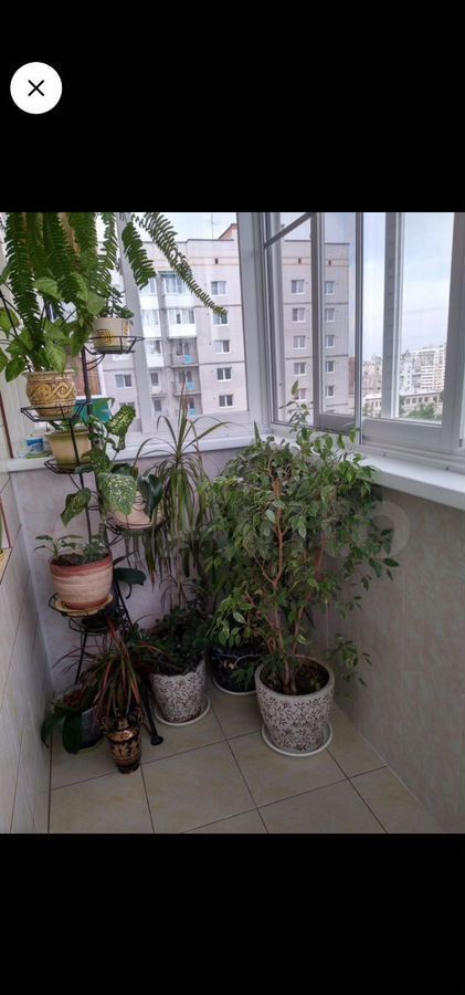 квартира г Чита р-н Центральный ул Красноармейская 63 фото 10
