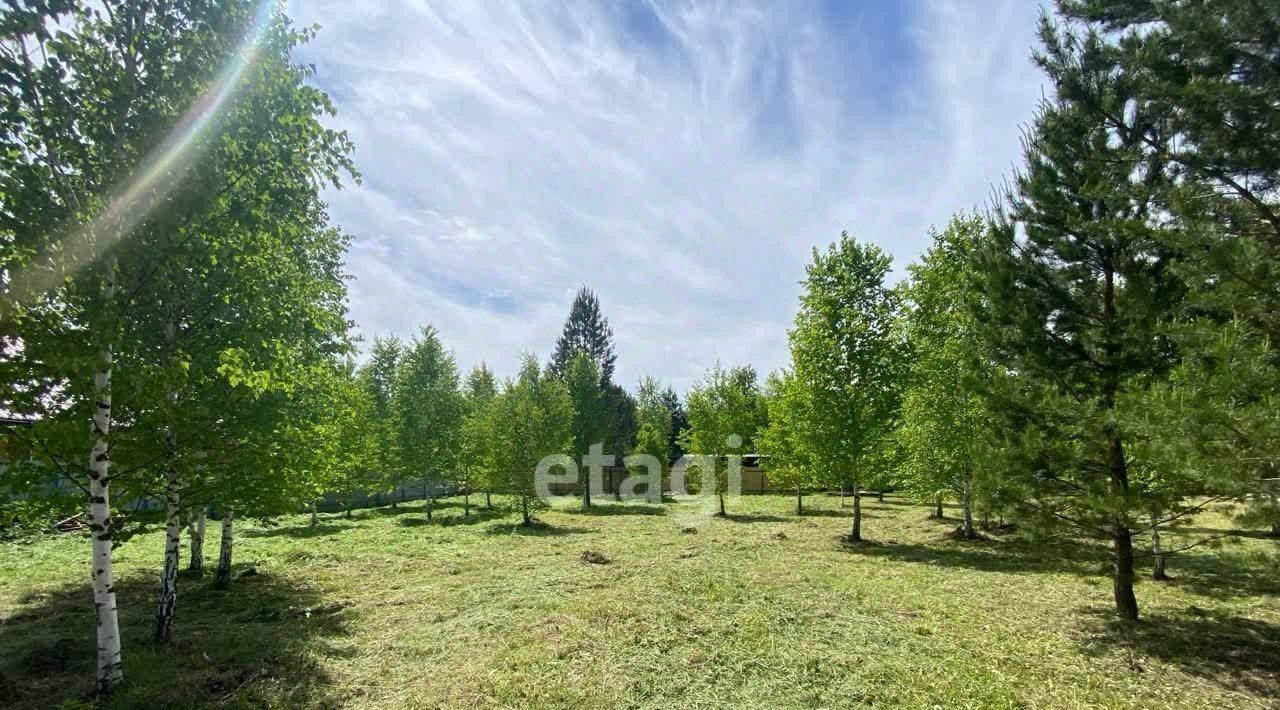 офис г Новосибирск р-н Центральный фото 1