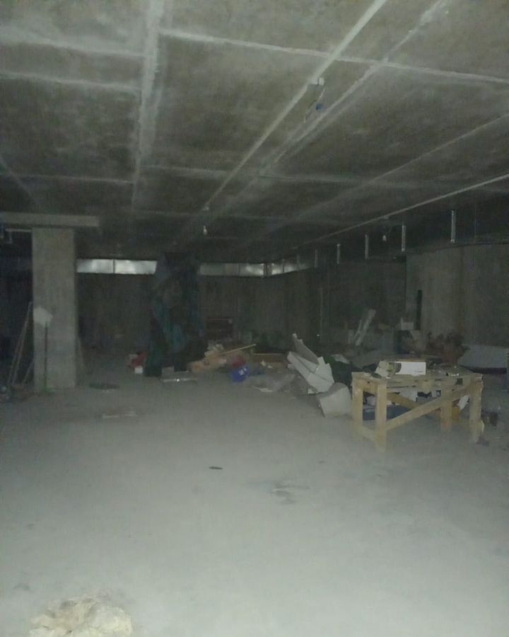 свободного назначения г Воронеж р-н Центральный ул Ленина 43 фото 3