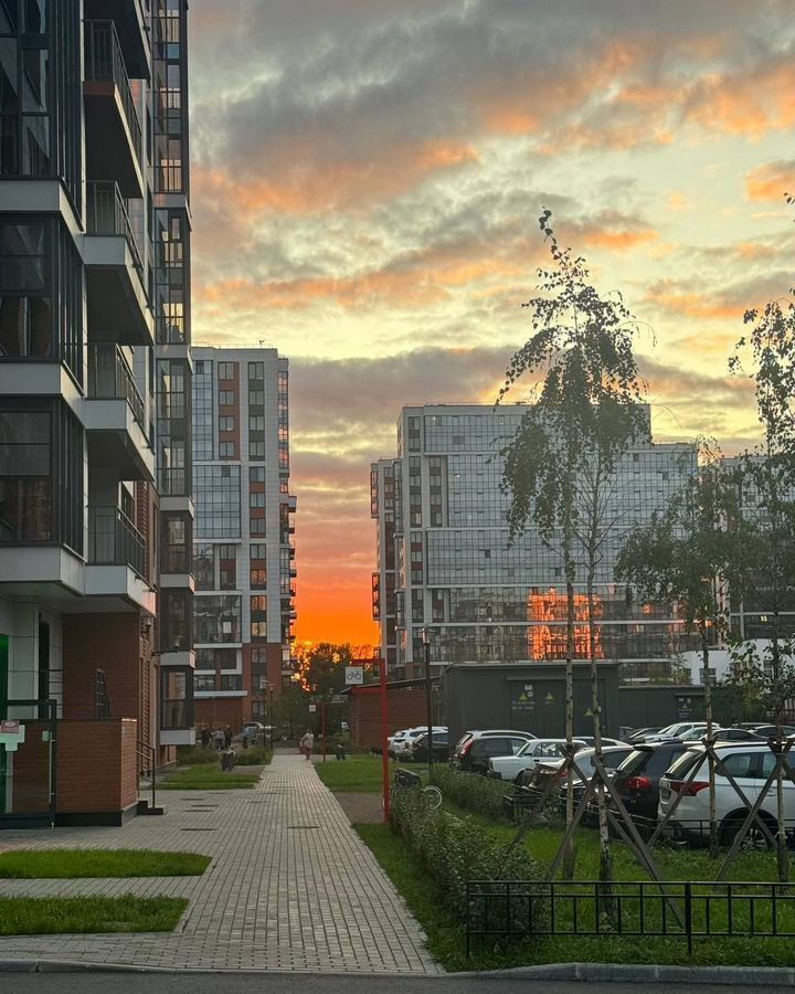 квартира г Санкт-Петербург метро Ломоносовская ул Фарфоровская 7к/1 фото 8