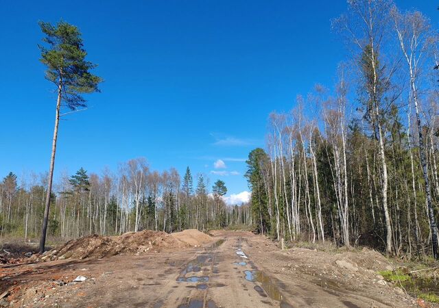 ул Дружбы Валдайское городское поселение фото