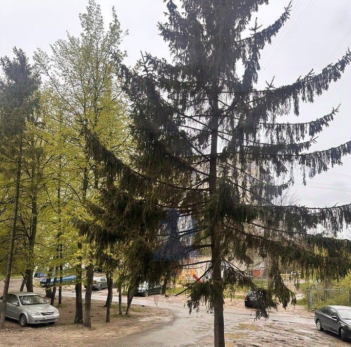 комната г Чебоксары р-н Калининский б-р Эгерский 24 фото 10