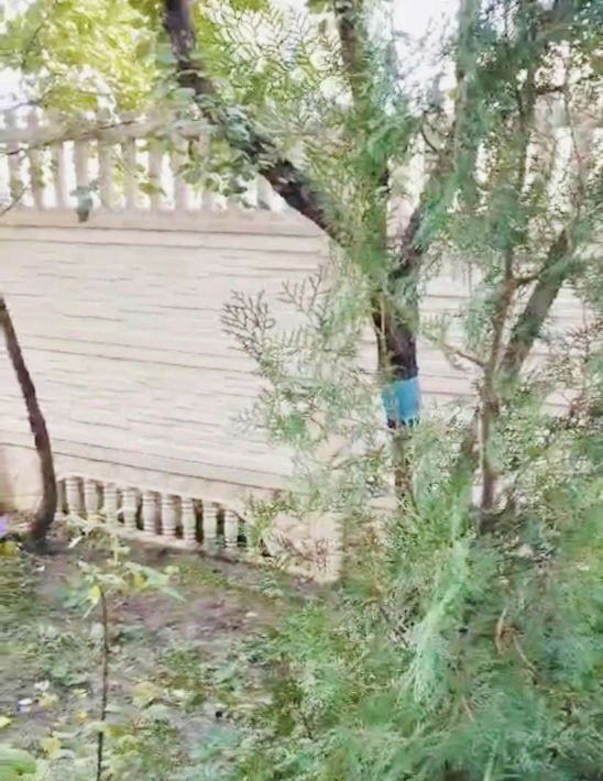 квартира г Волгоград р-н Дзержинский ул Качинцев 70 фото 9