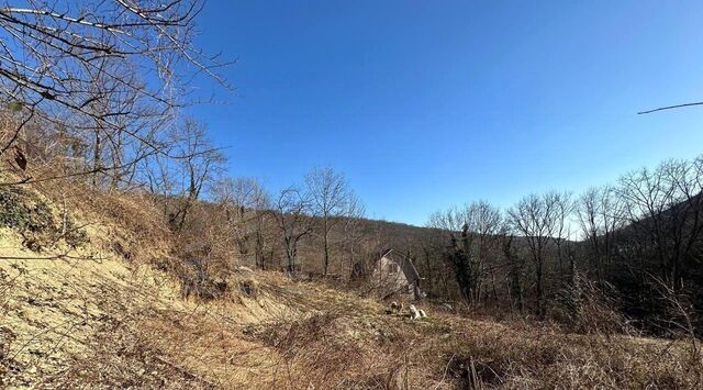 земля тер. ДНТ Океан фото