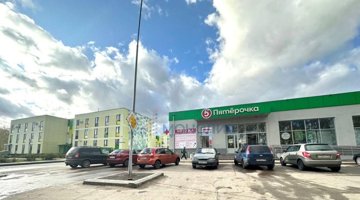 квартира г Нижний Новгород ул Весенняя 6 Культура фото 27
