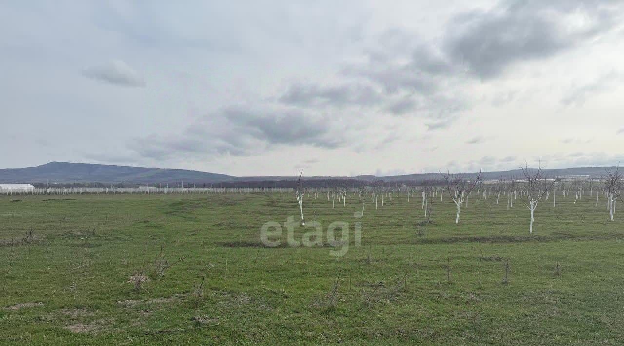 земля г Новороссийск ст-ца Раевская фото 11