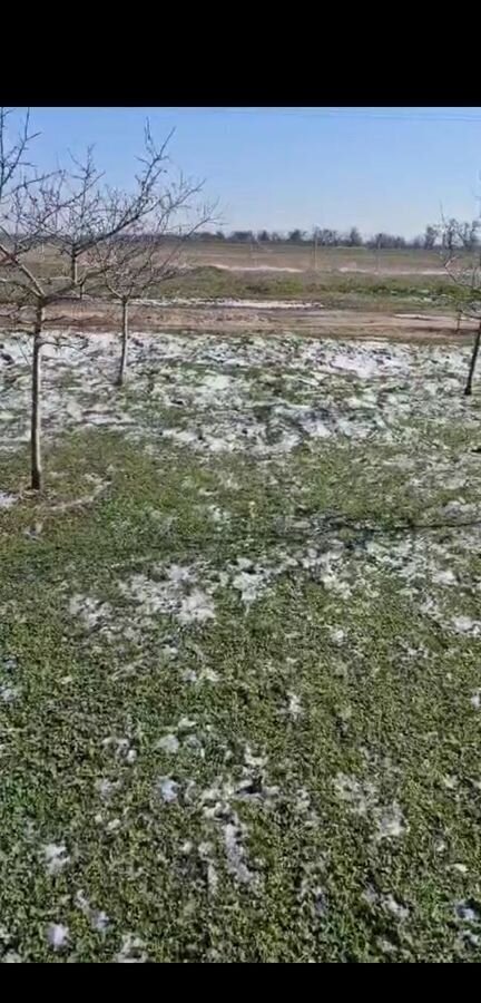 земля г Севастополь с Солнечое ул Владимира Чернухи р-н Нахимовский Андреевский муниципальный округ, Крым фото 8