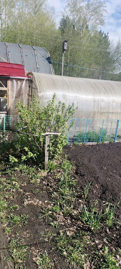 квартира р-н Тарский г Тара ул Радищева 1 Тарское городское поселение фото 19