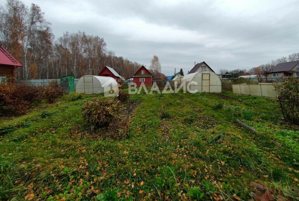 земля г Новосибирск Заельцовская снт Любитель 128 фото 3