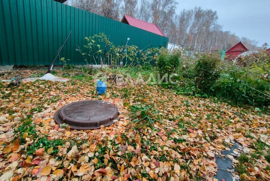 земля г Новосибирск Заельцовская снт Любитель 128 фото 17