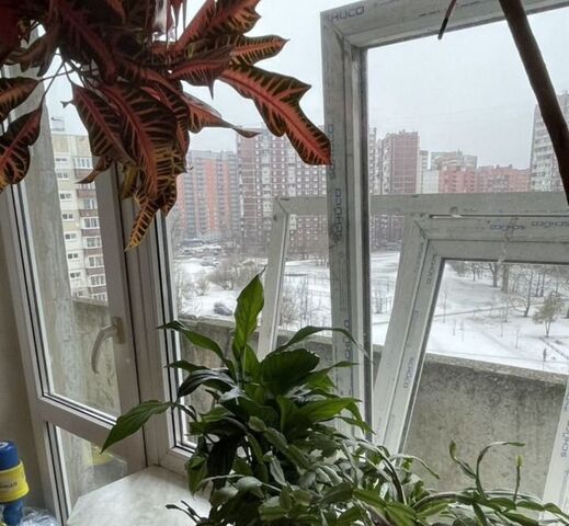 метро Озерки ул Щербакова 3к/1 фото