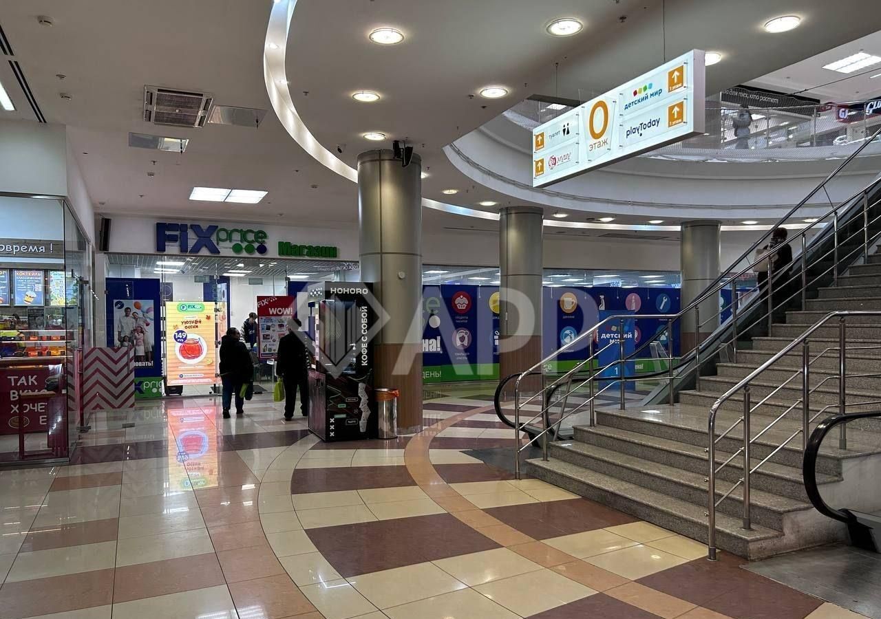 торговое помещение г Казань метро Площадь Тукая ул Петербургская 9 Республика Татарстан Татарстан фото 3