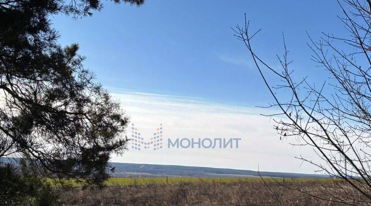земля г Бор с Останкино (Останкинский с/с) ул Молодежная фото 2