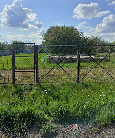 снт Фазенда садоводческое товарищество фото