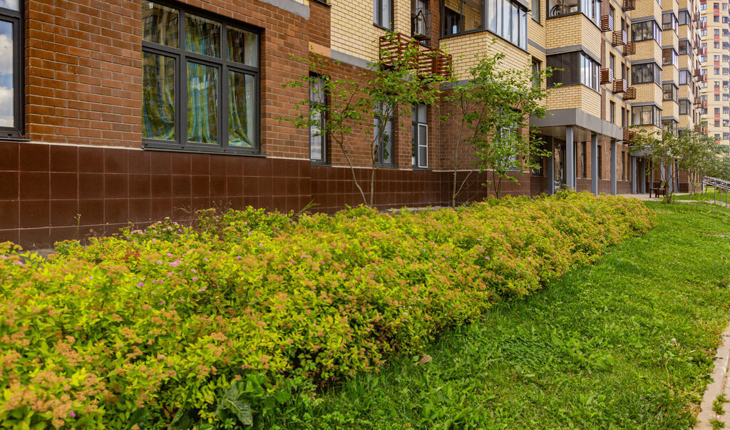 квартира г Пушкино ул Просвещения 12к/2 фото 26