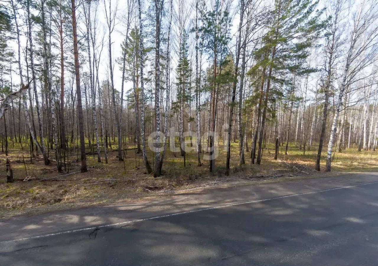 земля г Тюмень 71Н-1213 фото 2