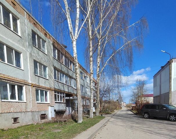 квартира Завеличенская волость, 1А фото