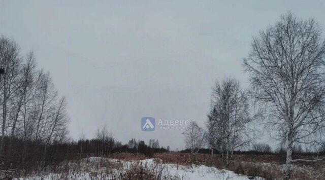р-н Центральный снт Березняки фото