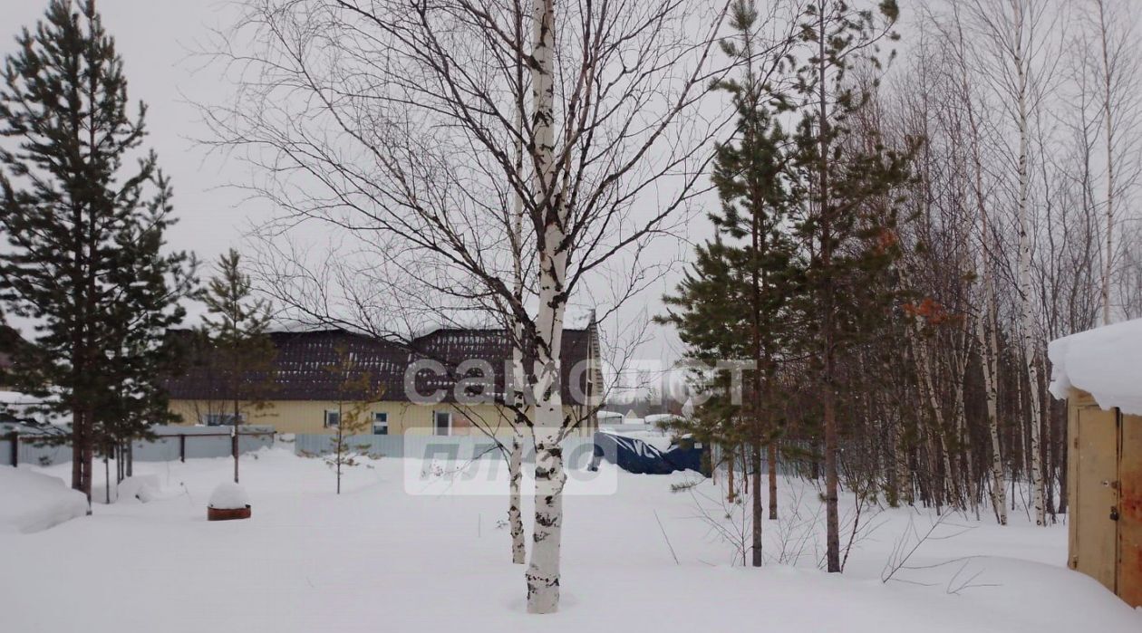 земля г Сургут снт терВозрождение ул 11-я фото 3