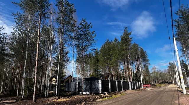 земля Щегловское Раздолье кп, 62 фото