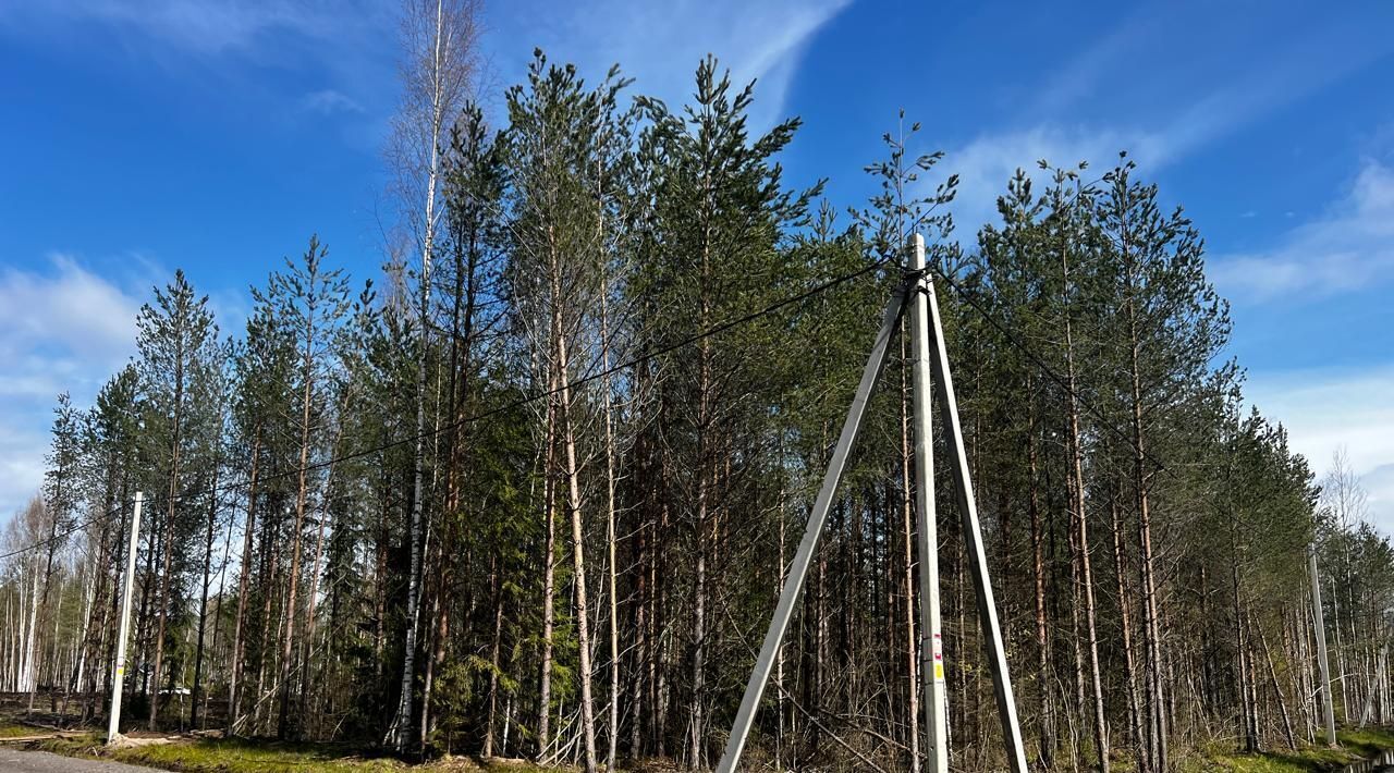 земля р-н Всеволожский г Всеволожск Щегловское Раздолье кп, 62 фото 4