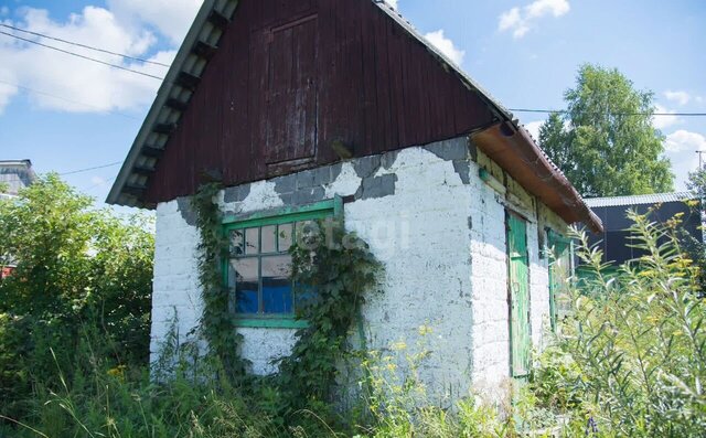 сельсовет, 5-я ул, Бердск, садовое товарищество Авиатор фото