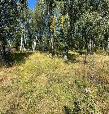 земля г Коломна снт Старт ул Средняя фото 2