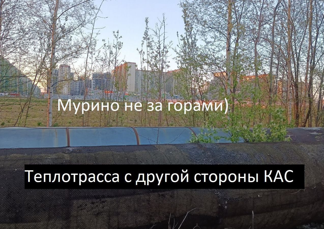 гараж г Санкт-Петербург метро Гражданский Проспект пр-кт Суздальский 60 фото 10