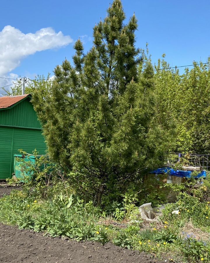 дом р-н Новомосковский г Новомосковск 3, Грицовский фото 6