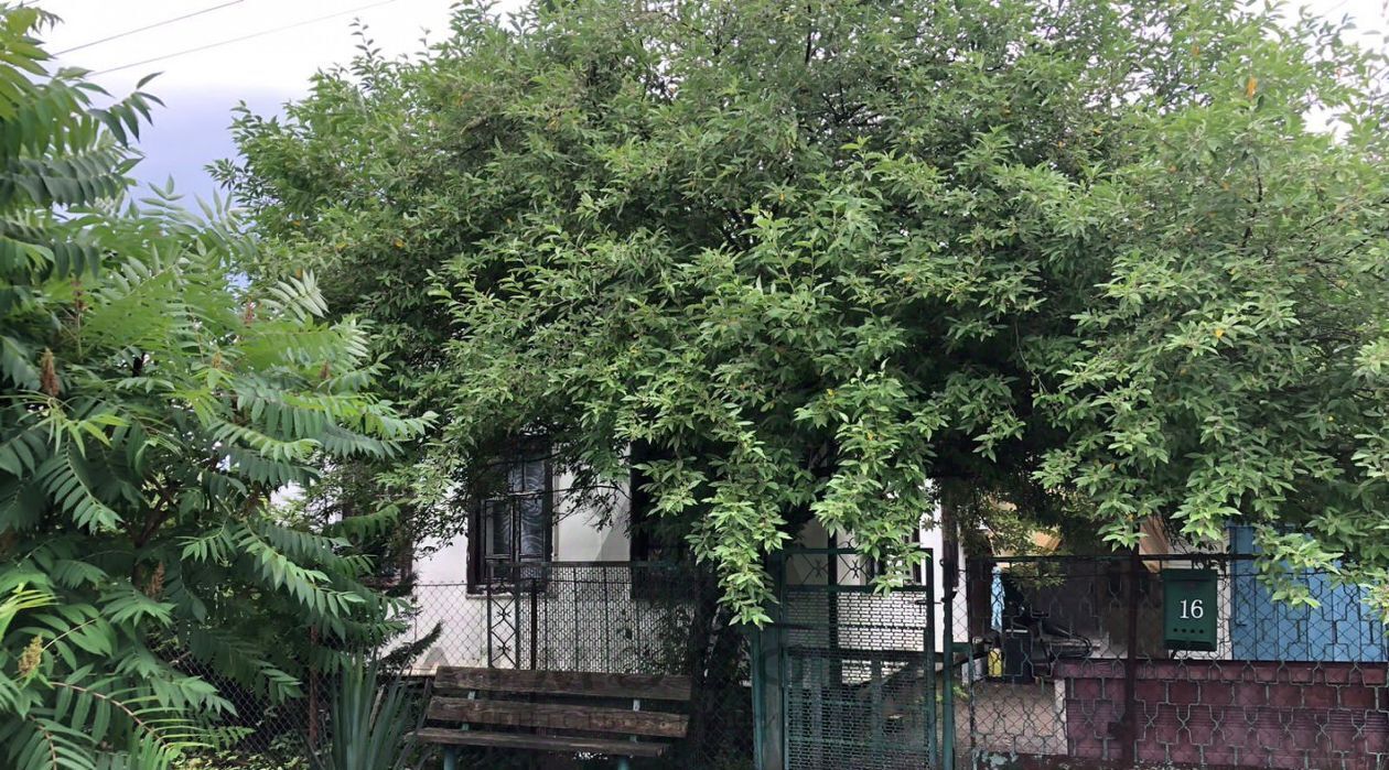 дом р-н Апшеронский г Хадыженск ул Озерная фото 1