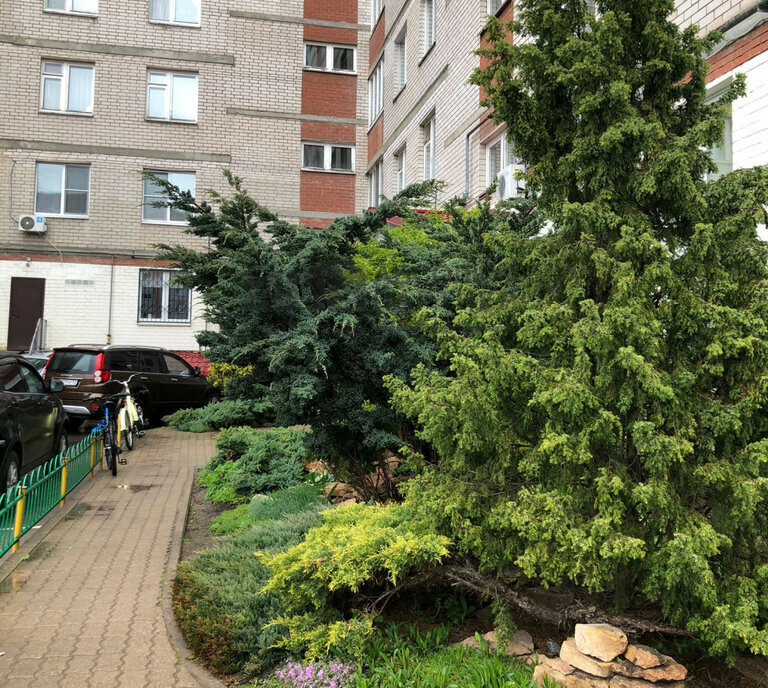 квартира г Великий Новгород ул Октябрьская 10 фото 3
