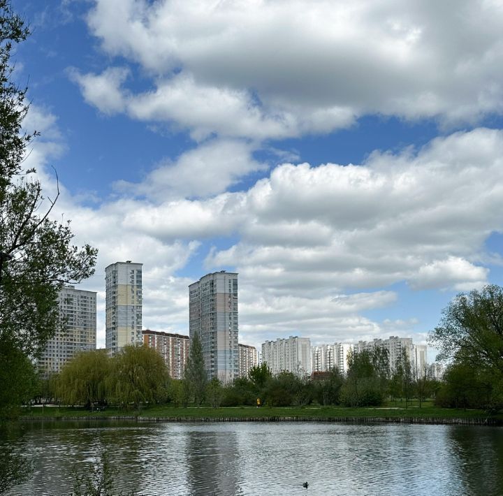 квартира г Москва метро Бунинская аллея ул Остафьевская 8 фото 12