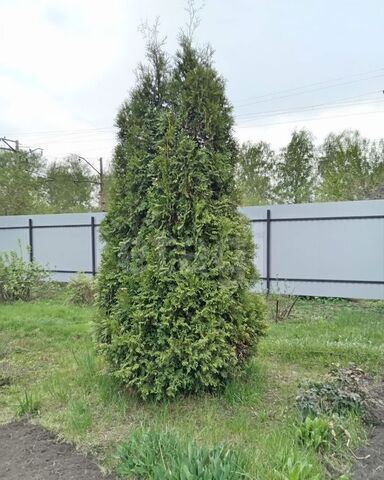 дом р-н Кировский снт Новая Сибирь Площадь Маркса, 129 фото