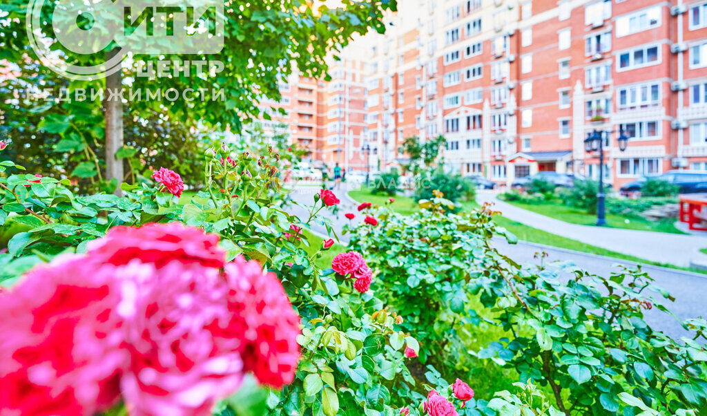 квартира г Воронеж р-н Ленинский ул Кривошеина 13/9 фото 13