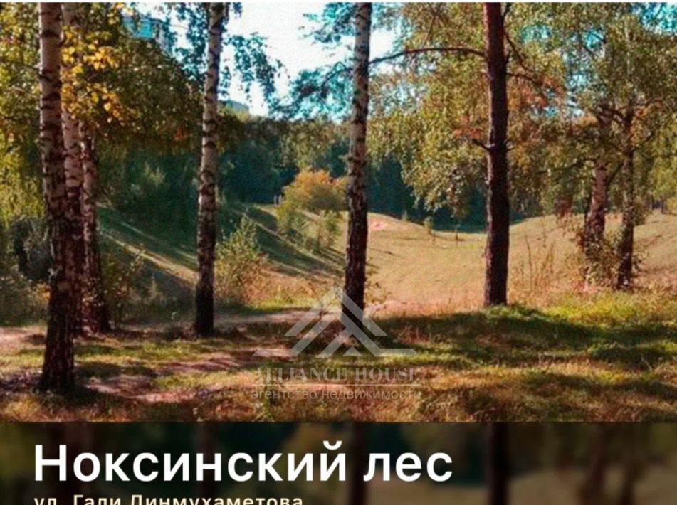 дом г Казань р-н Приволжский ул 1-я Зеленая Проспект Победы фото 14