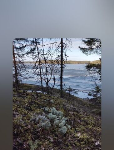 земля снт Радуга-2 Сортавальский муниципальный округ, СОТ фото