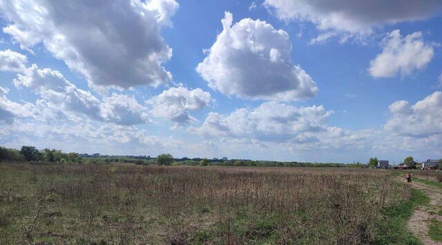 с Парфентьево ул Луговая Коломна городской округ фото