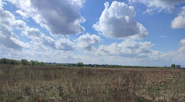 с Парфентьево ул Луговая Коломна городской округ фото