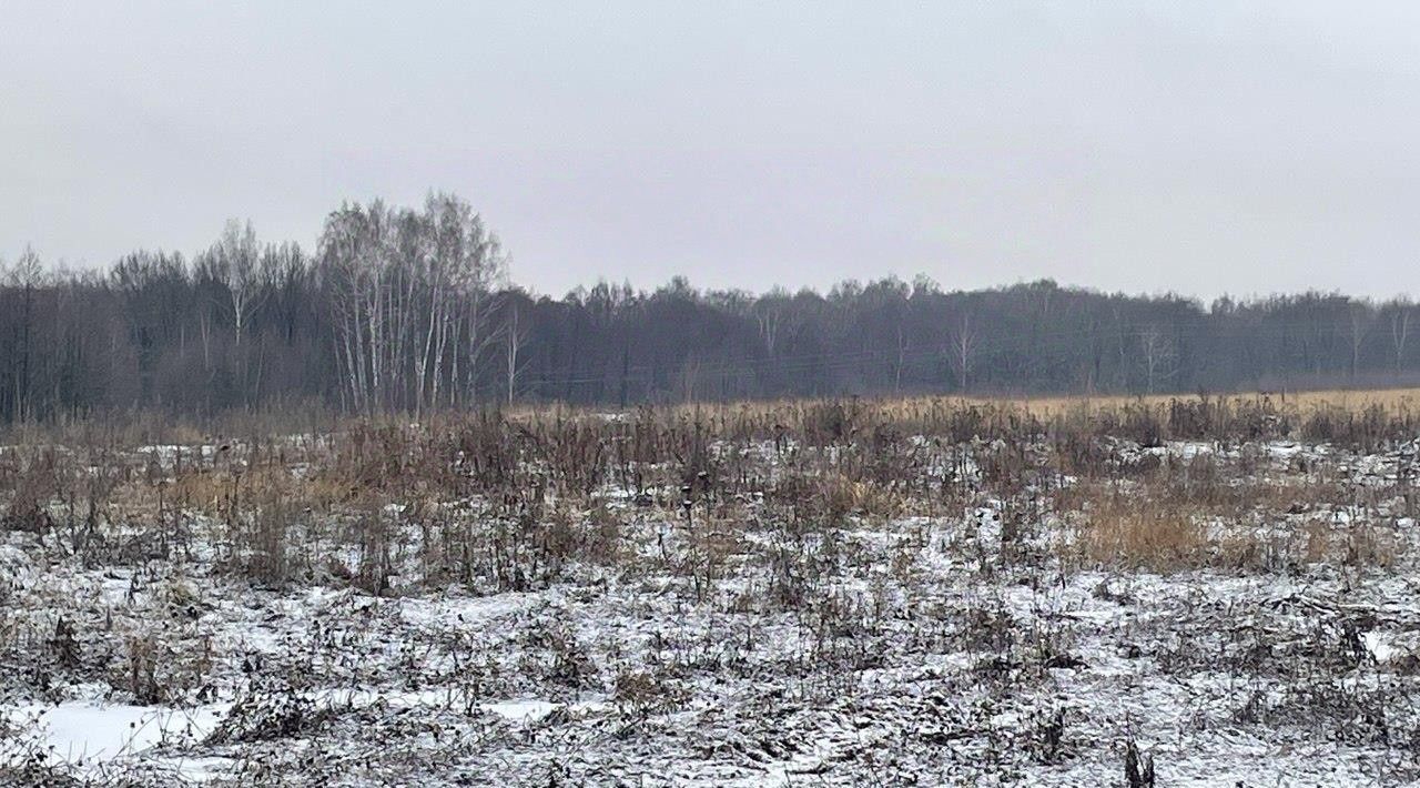 земля г Бронницы фото 1